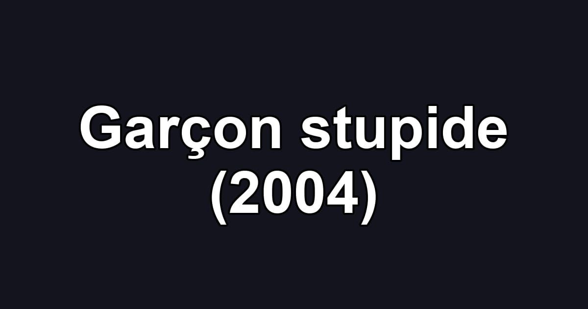 Garçon stupide (2004)