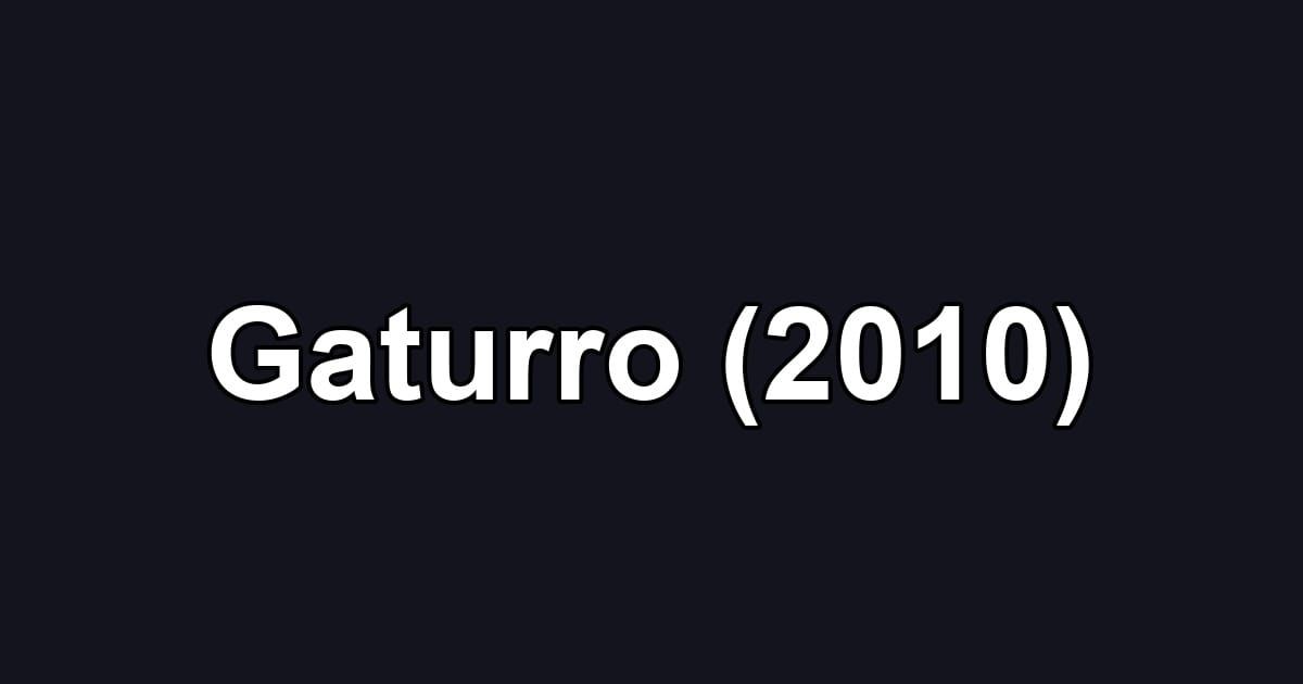 Gaturro (2010)