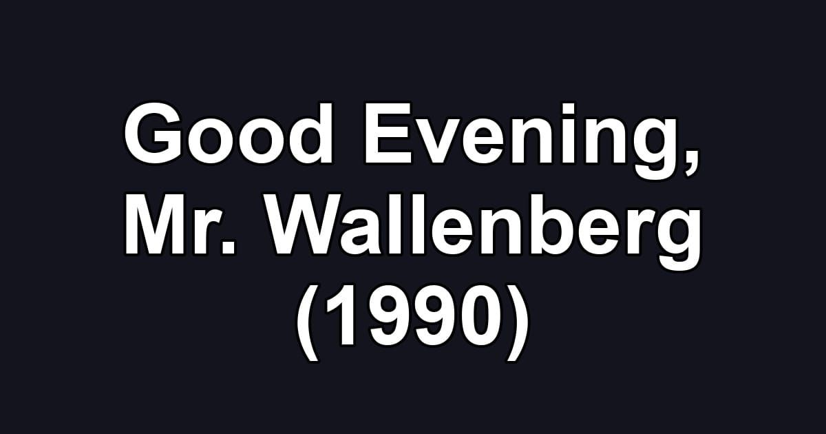 Good Evening, Mr. Wallenberg (1990)