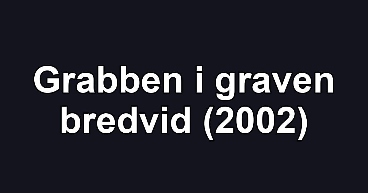 Grabben i graven bredvid (2002)