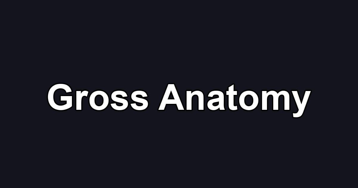 Gross Anatomy