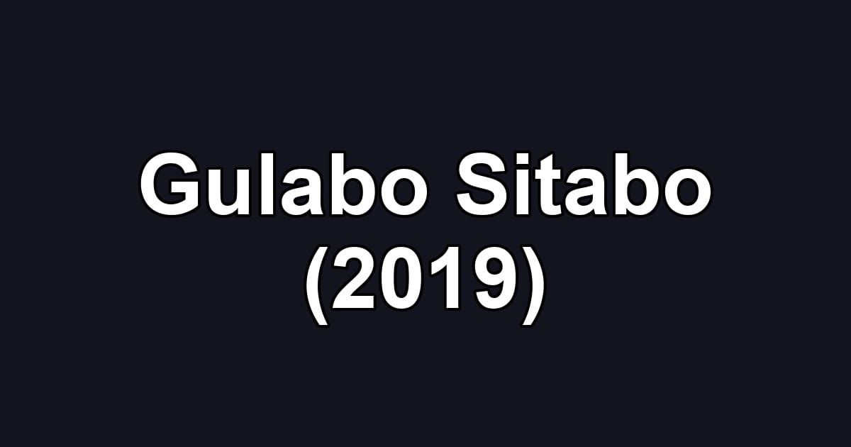 Gulabo Sitabo (2019)