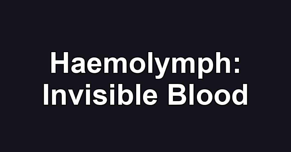 Haemolymph: Invisible Blood