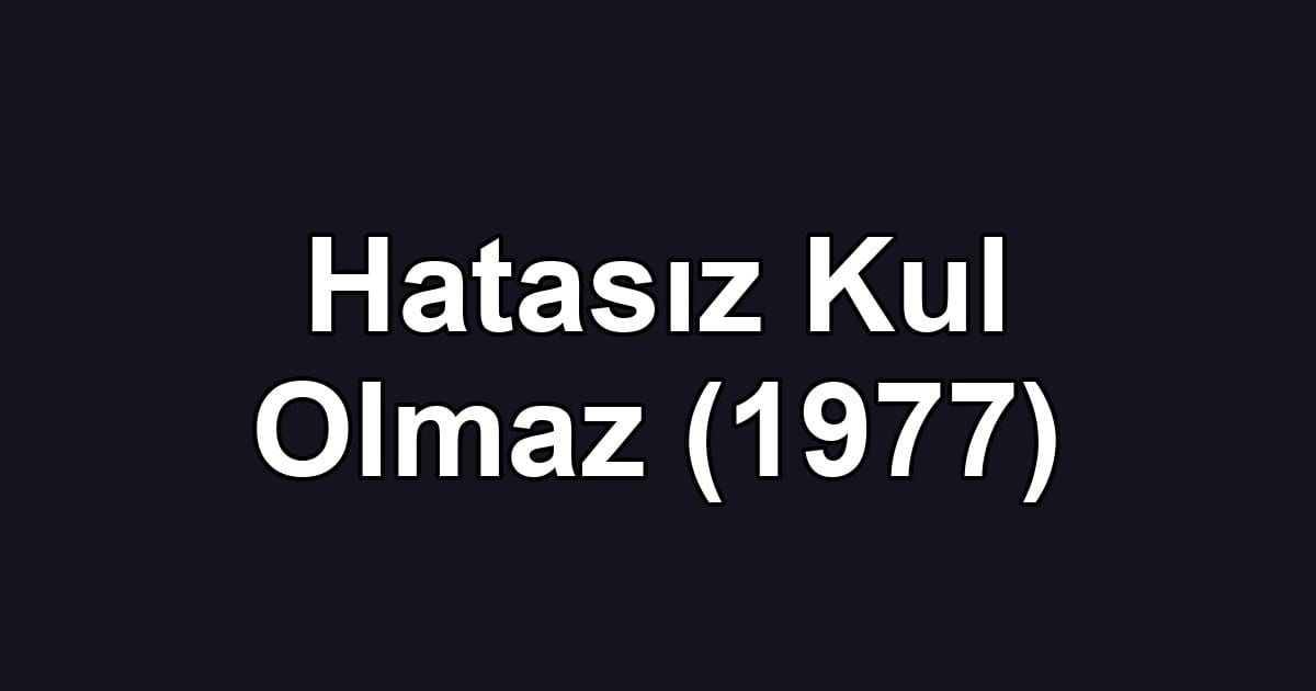 Hatasız Kul Olmaz (1977)