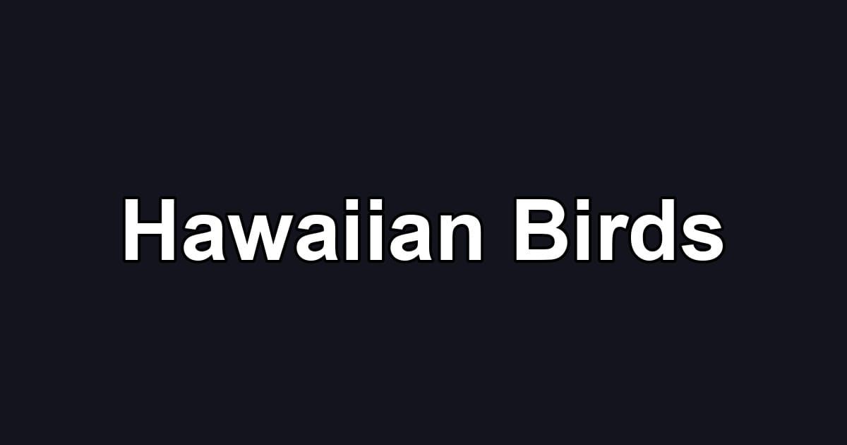 Hawaiian Birds
