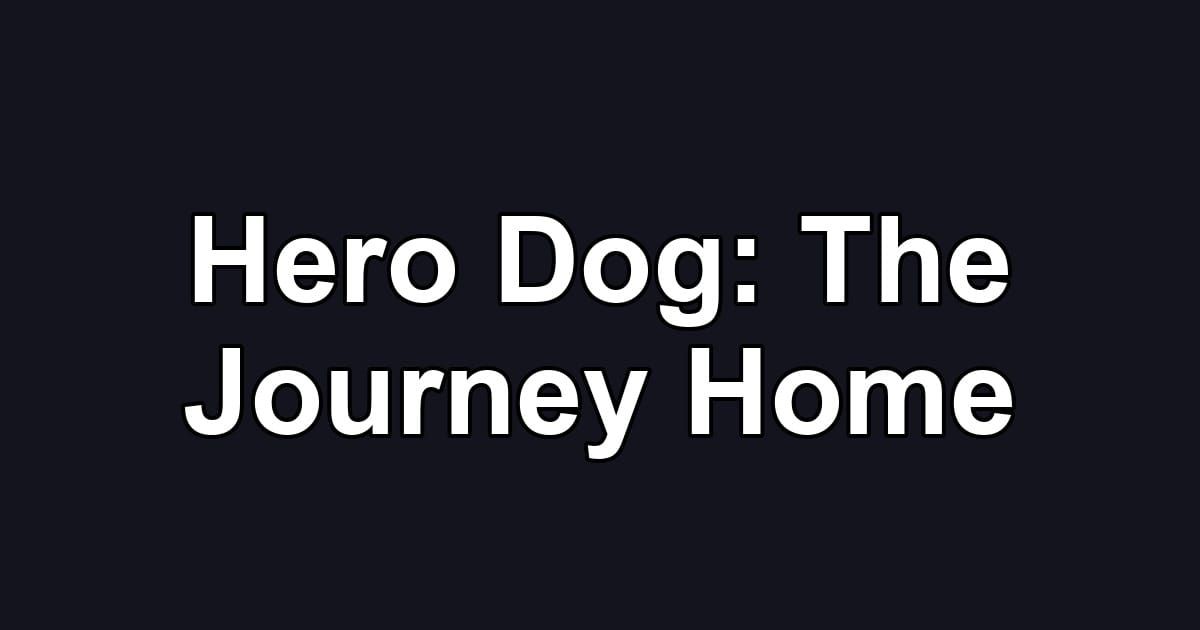 Hero Dog: The Journey Home