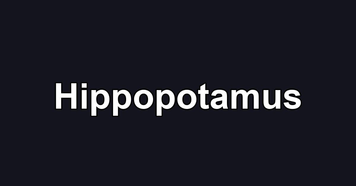 Hippopotamus
