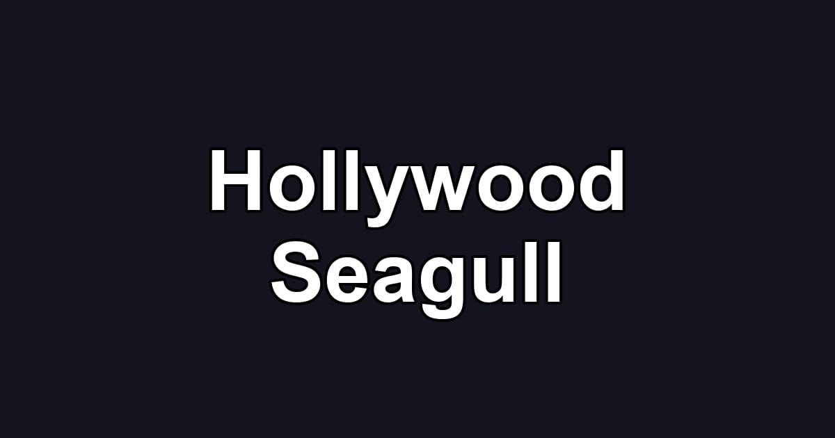 Hollywood Seagull