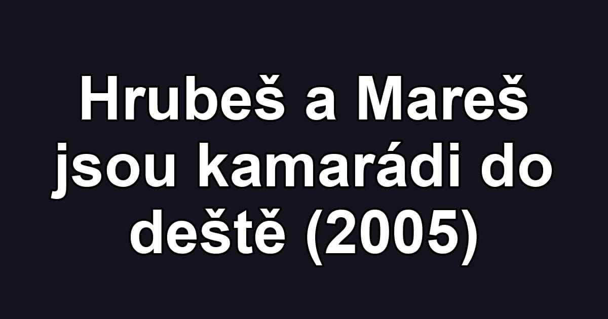 Hrubeš a Mareš jsou kamarádi do deště (2005)