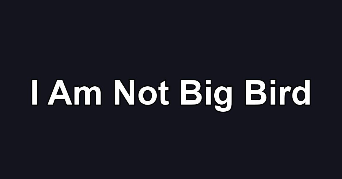 I Am Not Big Bird