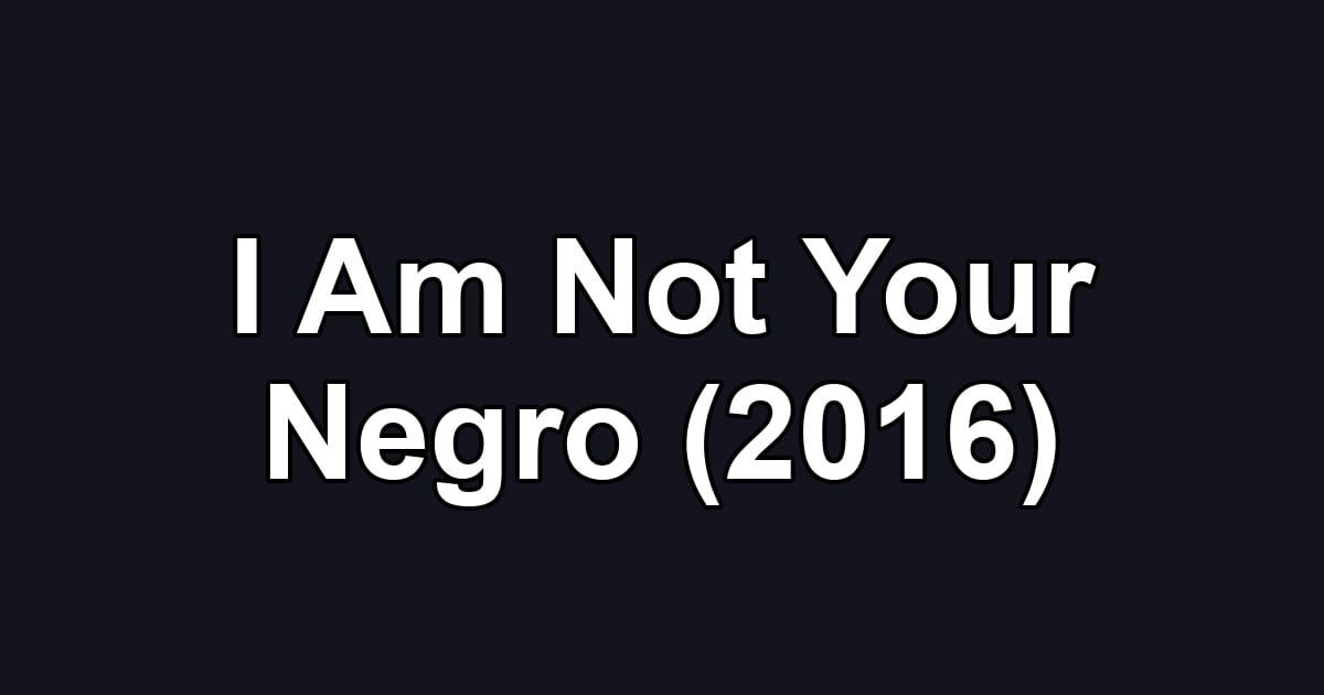 I Am Not Your Negro (2016)