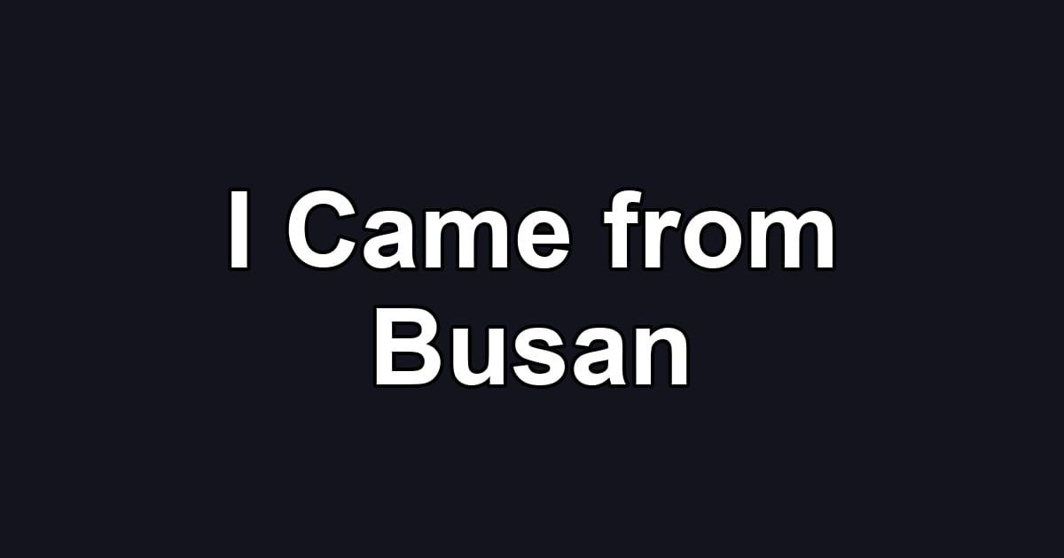 I Came from Busan