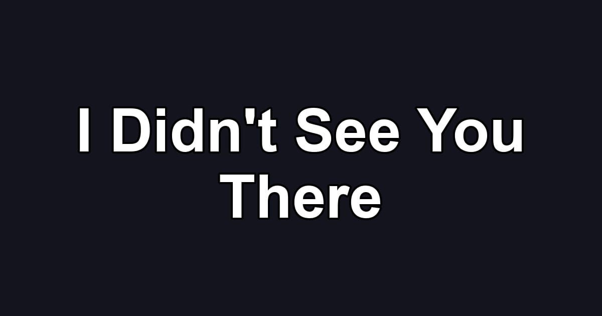 I Didn't See You There