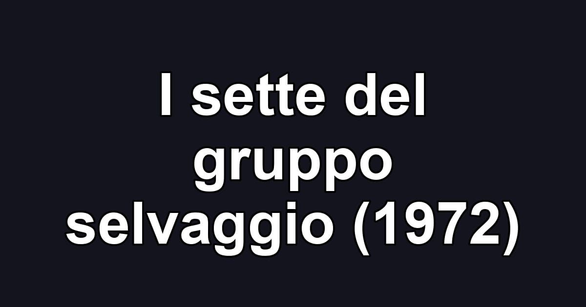 I sette del gruppo selvaggio (1972)