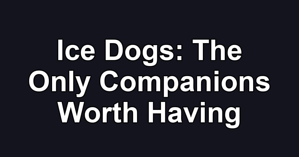 Ice Dogs: The Only Companions Worth Having