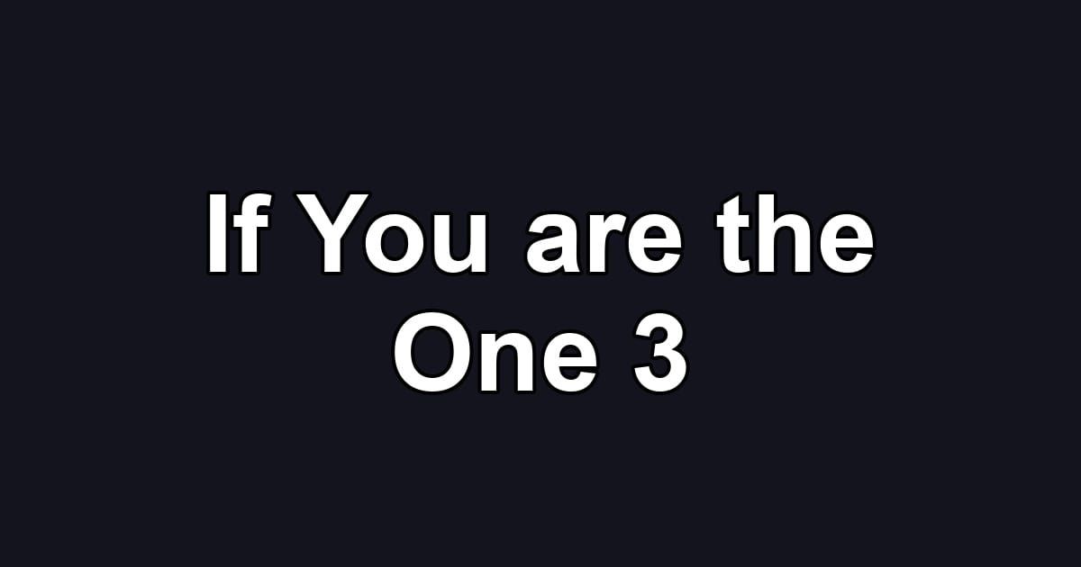 If You are the One 3