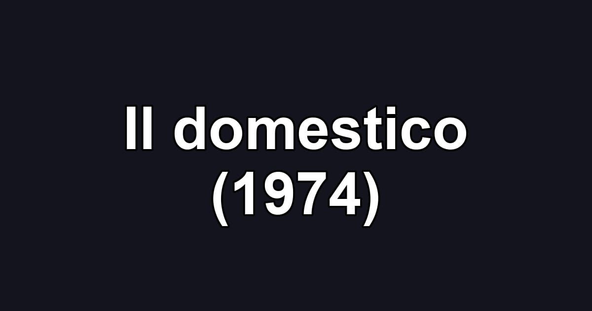 Il domestico (1974)