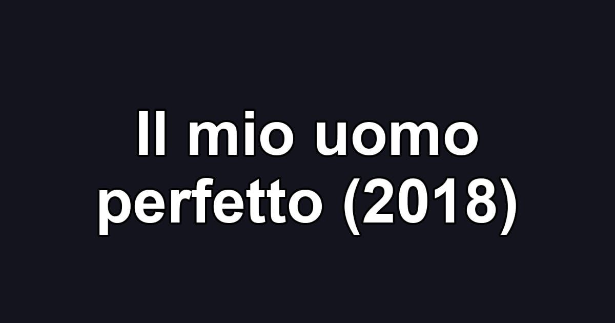 Il mio uomo perfetto (2018)