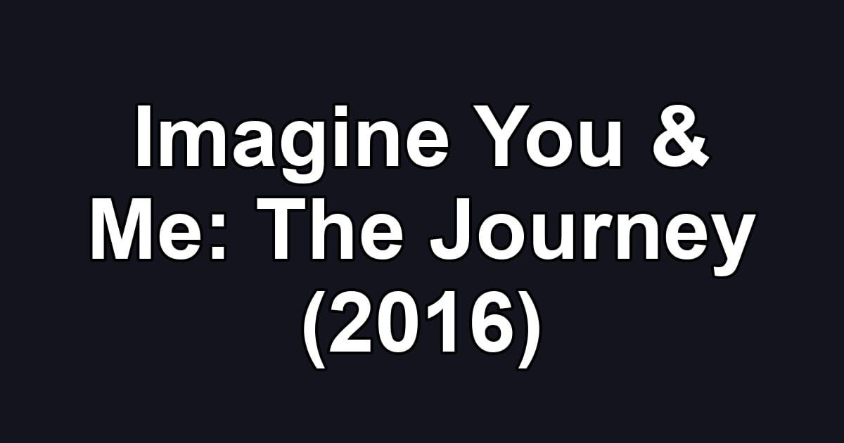 Imagine You & Me: The Journey (2016)