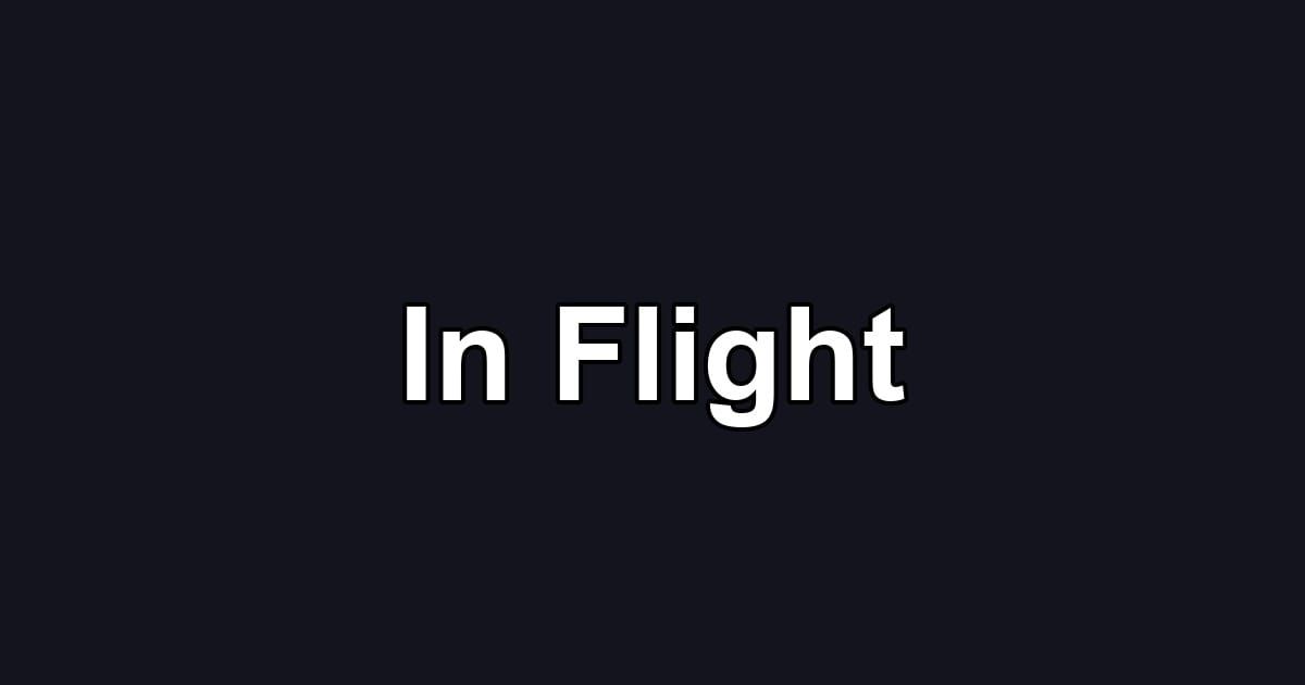 In Flight