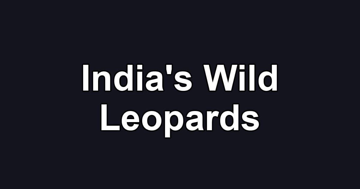 India's Wild Leopards