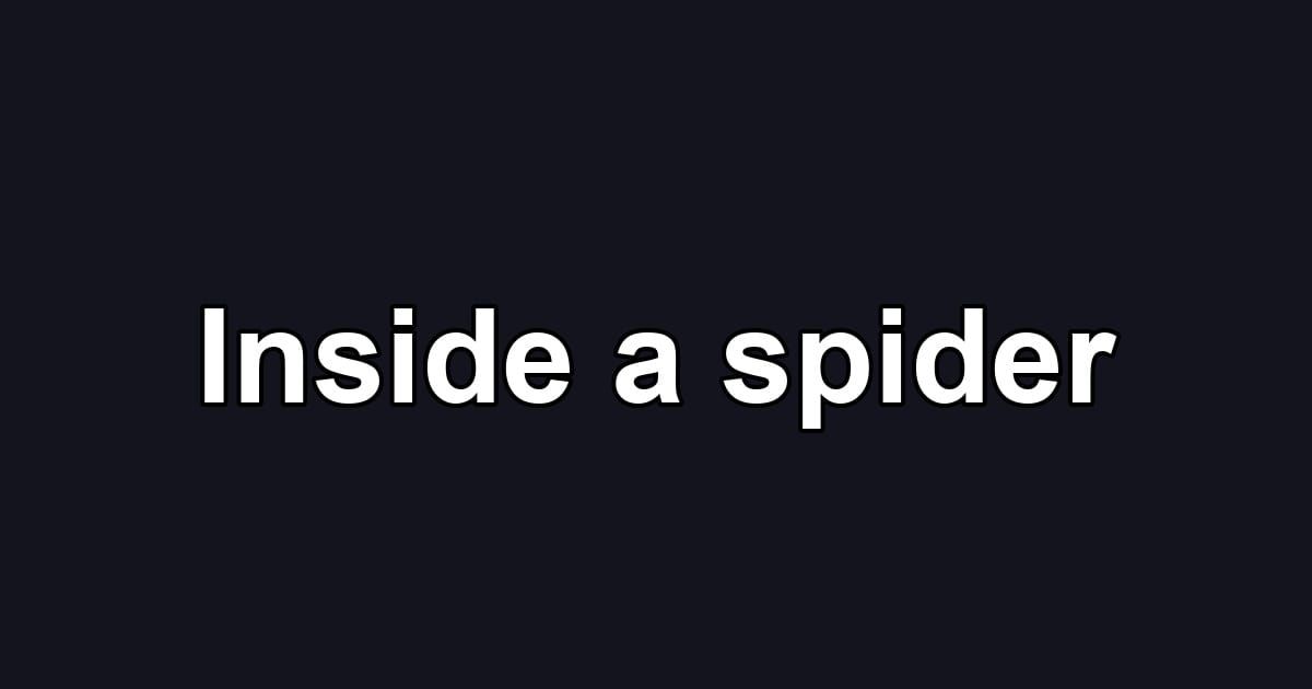 Inside a spider