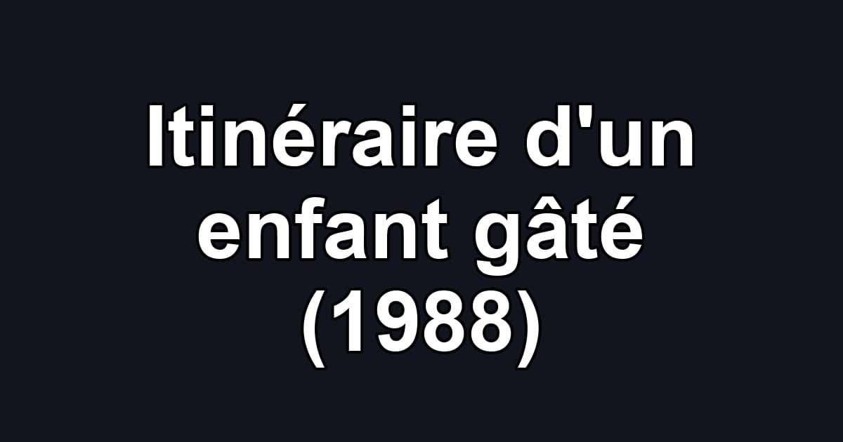 Itinéraire d'un enfant gâté (1988)