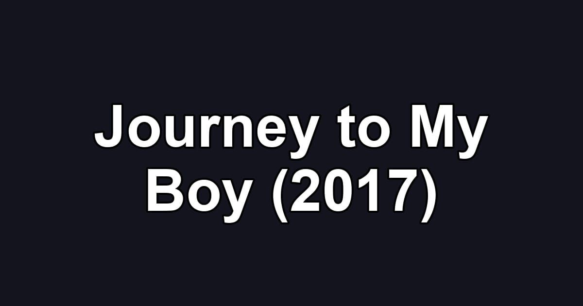 Journey to My Boy (2017)