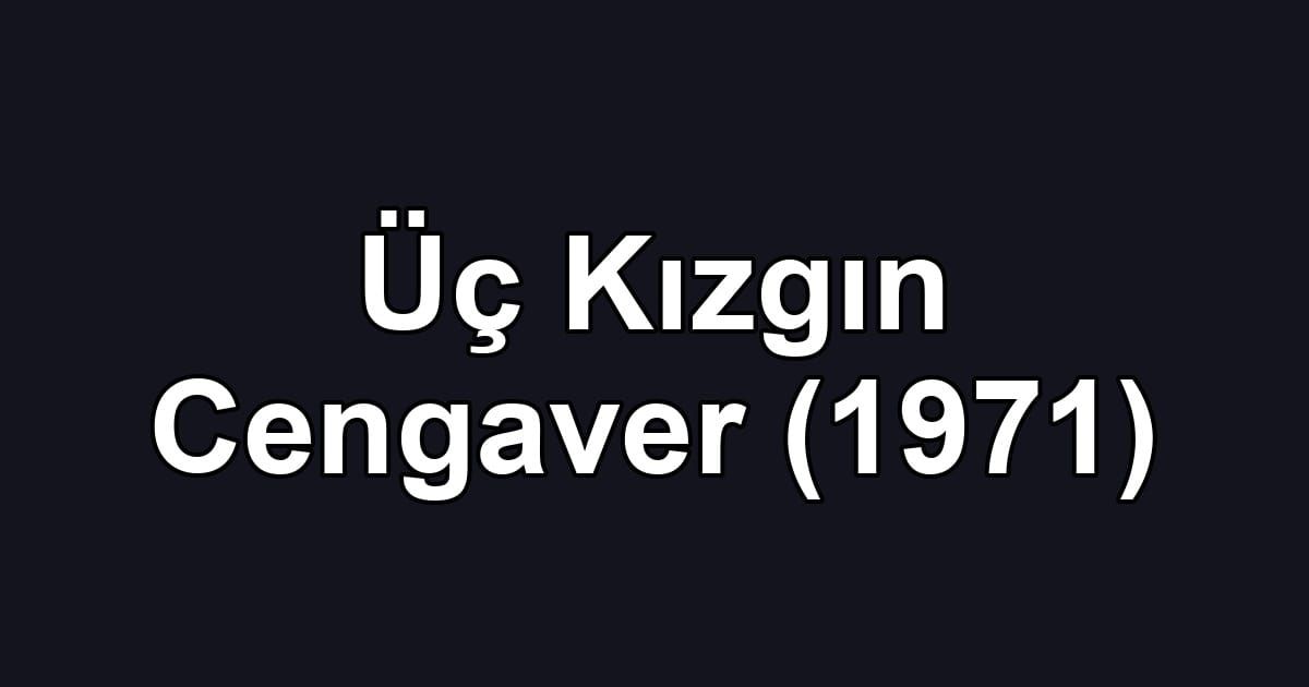Üç Kızgın Cengaver (1971)