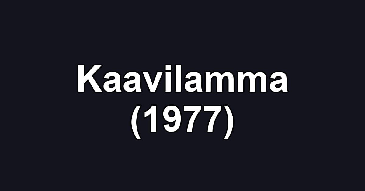 Kaavilamma (1977)