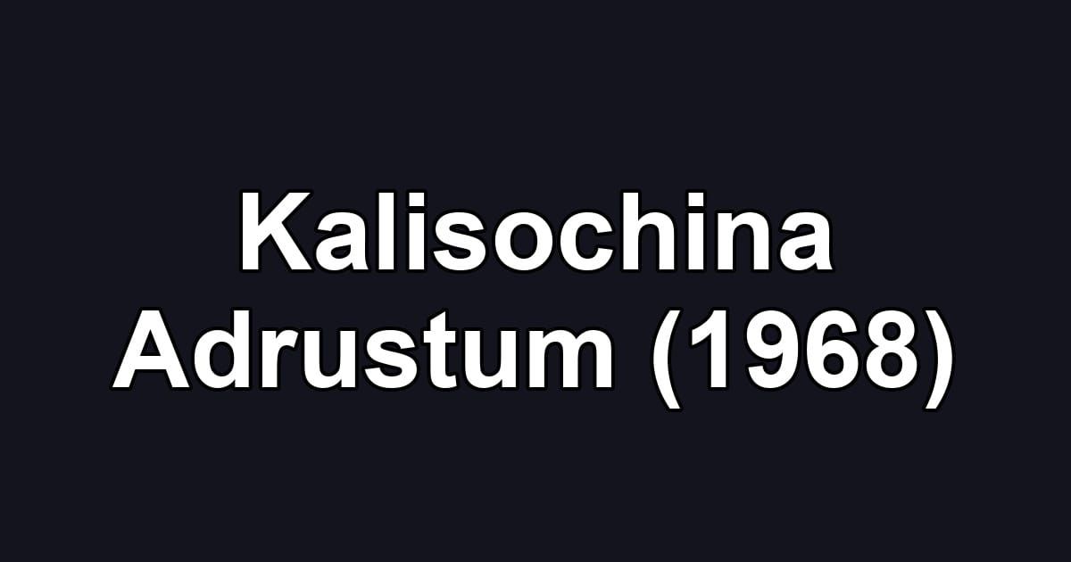 Kalisochina Adrustum (1968)