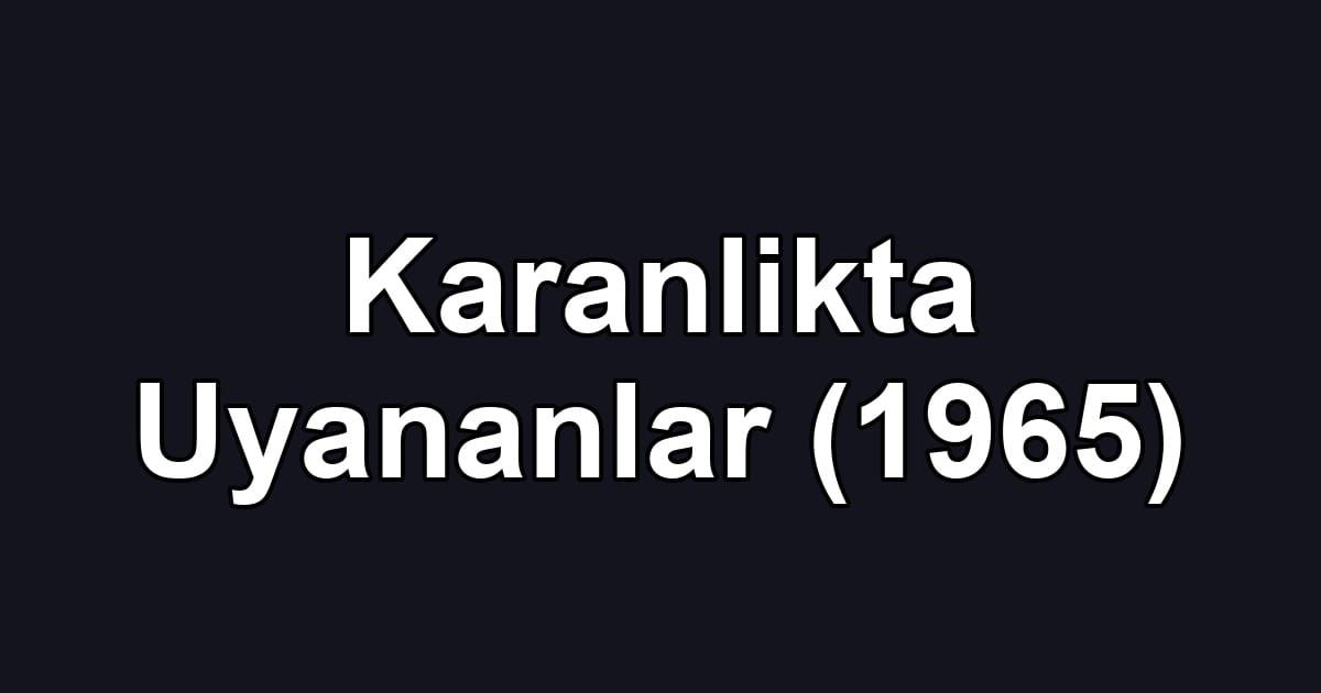 Karanlikta Uyananlar (1965)