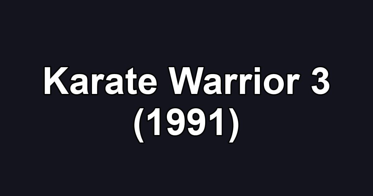 Karate Warrior 3 (1991)