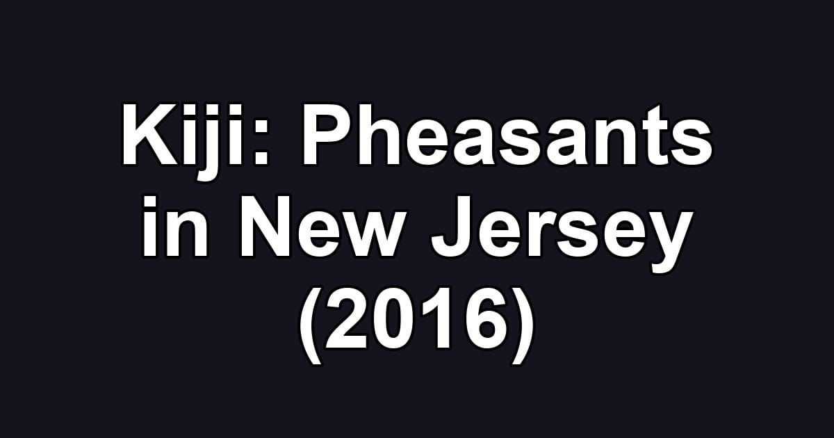 Kiji: Pheasants in New Jersey (2016)