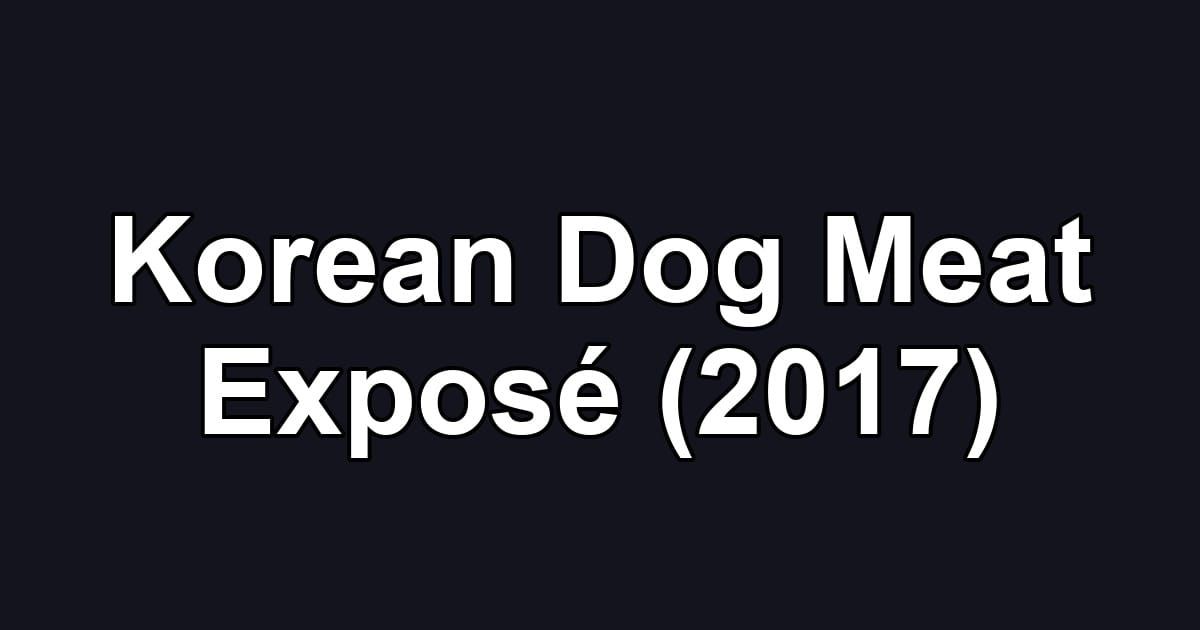 Korean Dog Meat Exposé (2017)