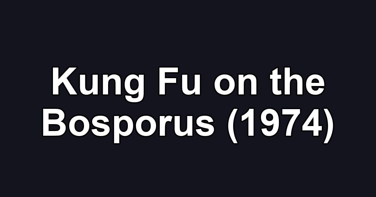 Kung Fu on the Bosporus (1974)