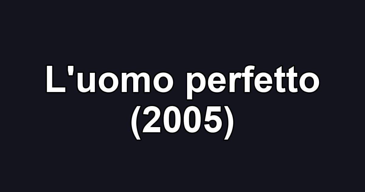 L'uomo perfetto (2005)