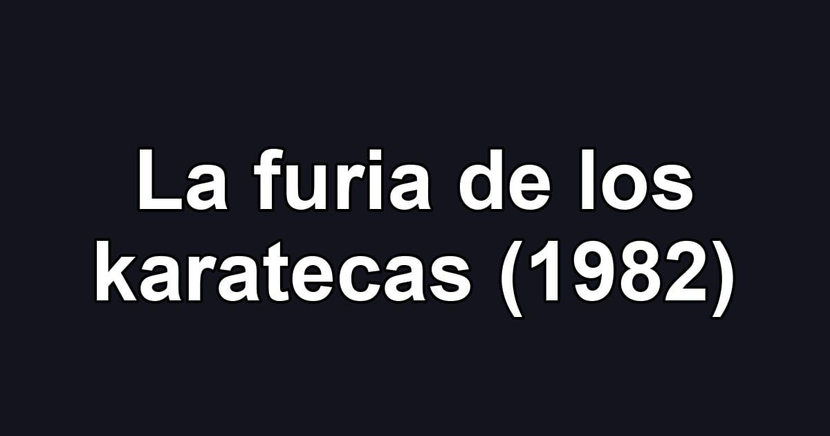 La furia de los karatecas (1982)