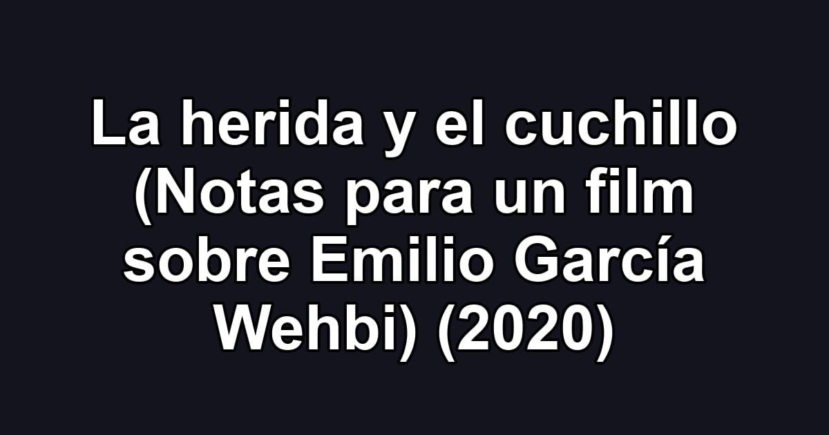 La herida y el cuchillo (Notas para un film sobre Emilio García Wehbi) (2020)