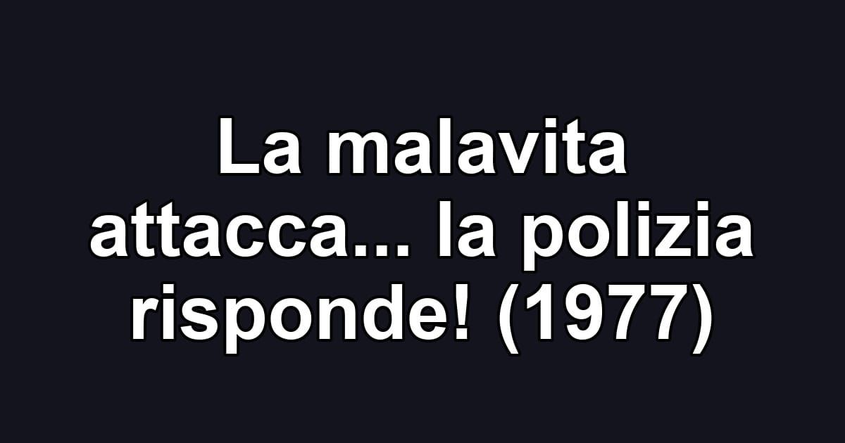 La malavita attacca... la polizia risponde! (1977)
