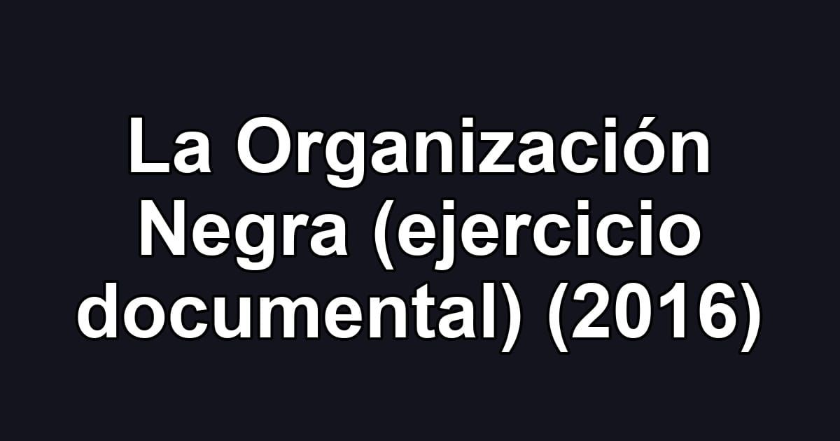 La Organización Negra (ejercicio documental) (2016)