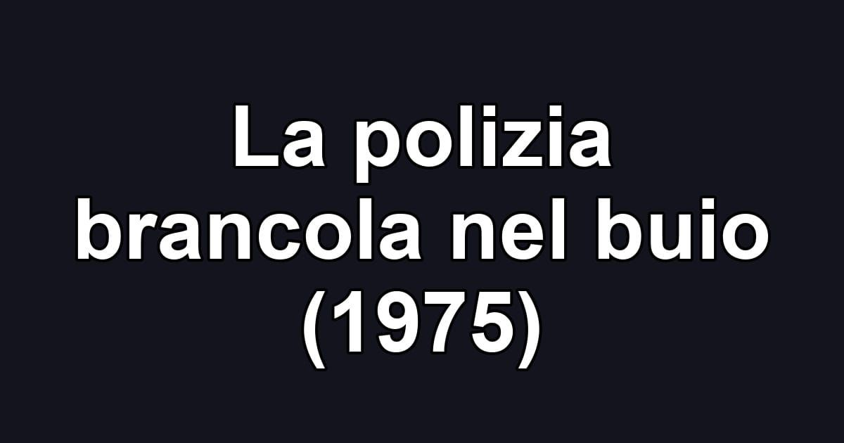 La polizia brancola nel buio (1975)