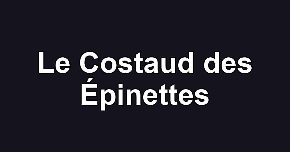 Le Costaud des Épinettes