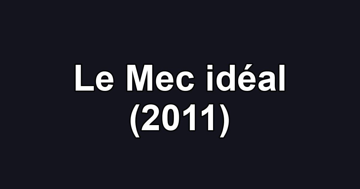 Le Mec idéal (2011)