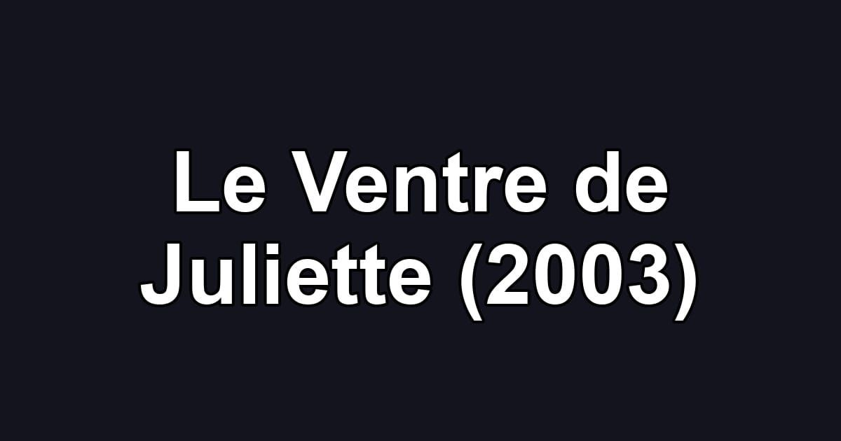 Le Ventre de Juliette (2003)