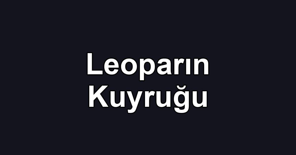 Leoparın Kuyruğu