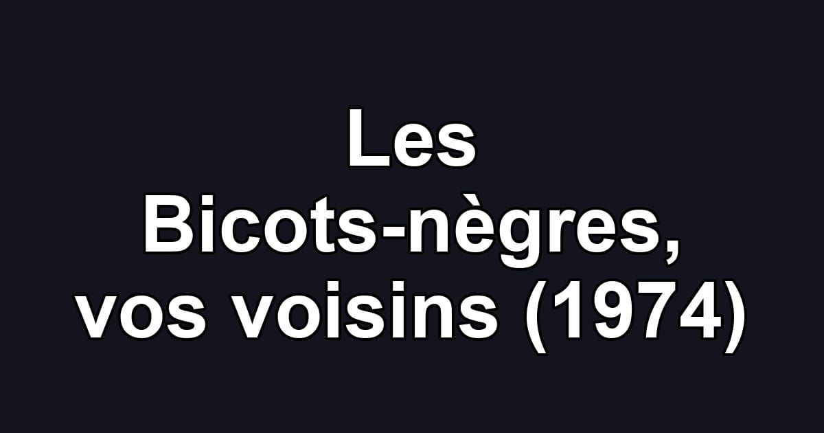 Les Bicots-nègres, vos voisins (1974)
