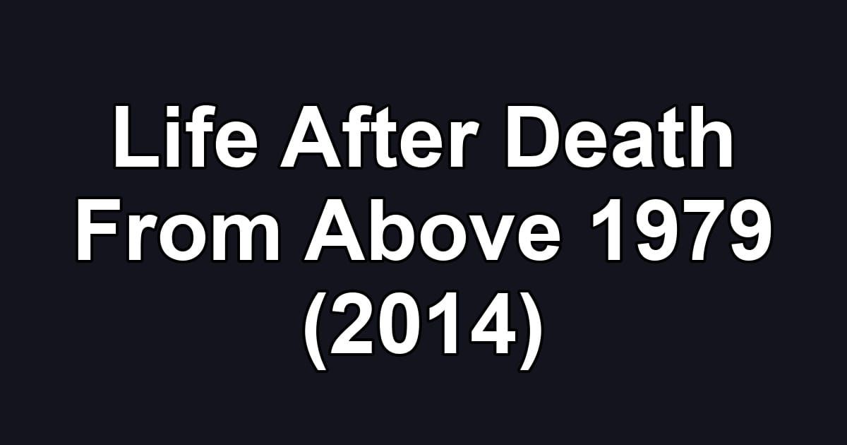 Life After Death From Above 1979 (2014)