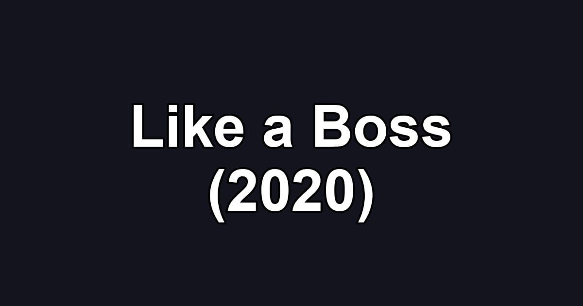 Like a Boss (2020)