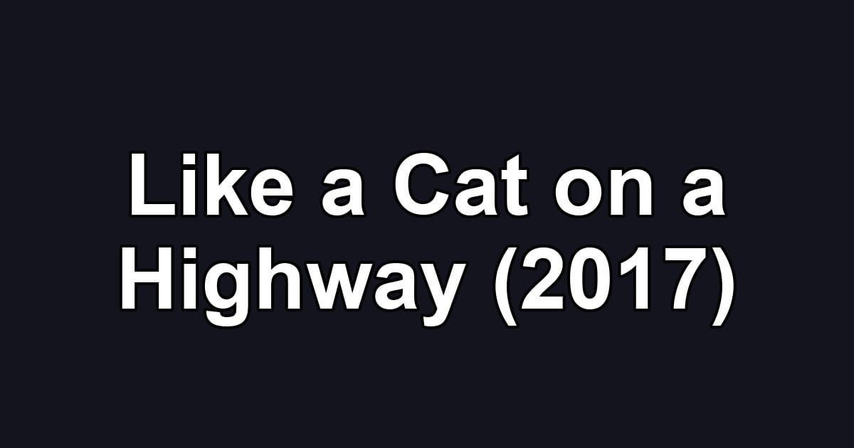 Like a Cat on a Highway (2017)